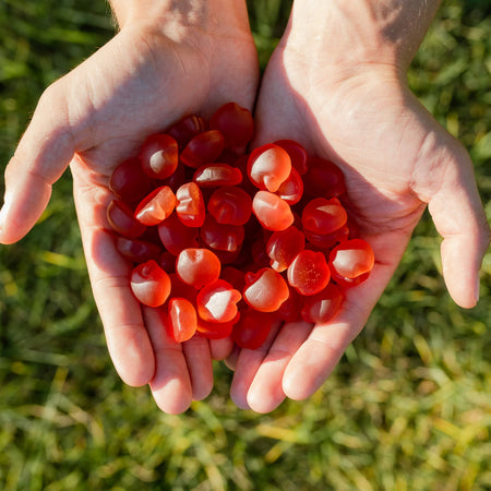 Is There Really Such a Thing as Keto ACV gummies?