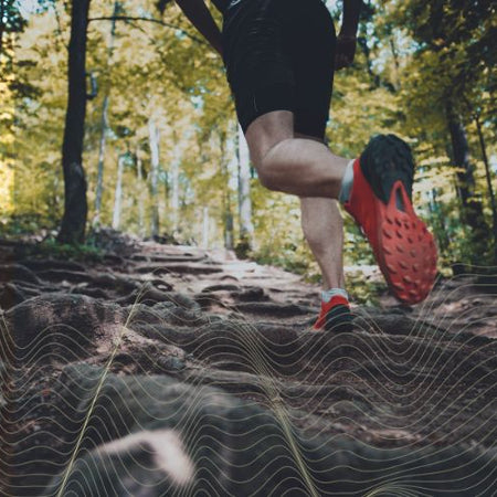Collagen for Knee Repair