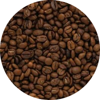 Wanted Coffee | Medium Roast